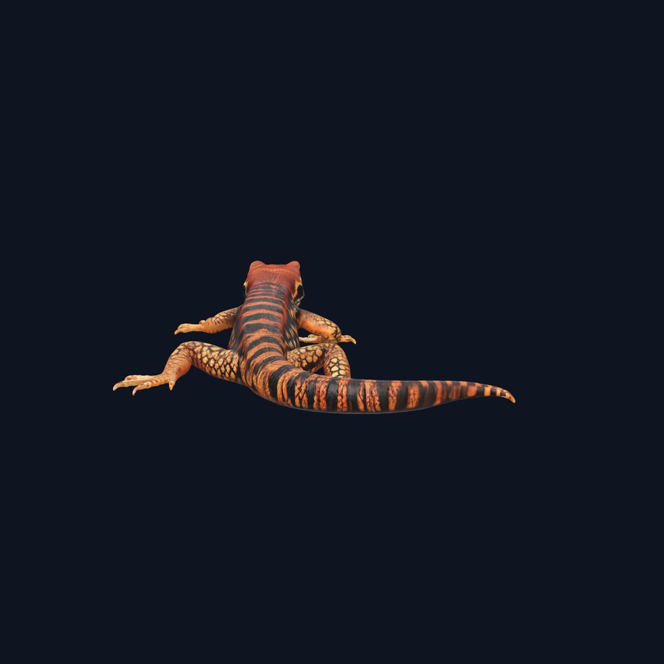 Striped Lizard Model Pack